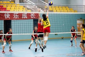 沈阳日报：5连胜&球队状态明显回升 辽篮重燃挺进前四希望